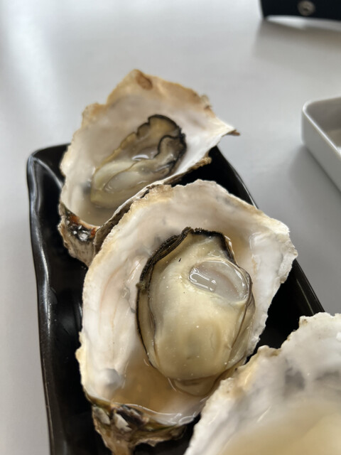 松島地区漁業組合 生かき直売所 - 松島（その他）の写真