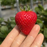 姫路ハートフル観光農園 - 