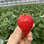 姫路ハートフル観光農園 - 