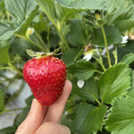 姫路ハートフル観光農園 - 