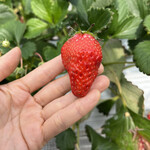 姫路ハートフル観光農園 - 