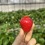 姫路ハートフル観光農園 - 