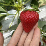 姫路ハートフル観光農園 - 