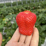 姫路ハートフル観光農園 - 