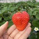 姫路ハートフル観光農園 - 