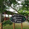 ブルーベリーファームおかざき