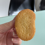 東京ばな奈の木 - バナナの形？