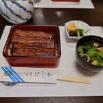 Unagi Hashimoto - 