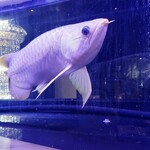 焼肉 拍手喝采 - 