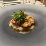 ランス・ヤナギダテ - 