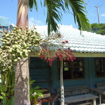 CALiN カフェ＋ザッカ - 