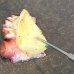 unito - 蛸じゃが