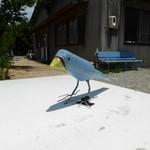 コートヤード - 