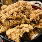 Karaage Hitosuji - 