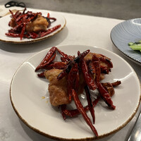 CINA New Modern Chinese - 