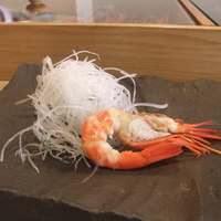 鮨棗 本店 - ホッカイシマエビ　