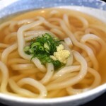 富泉 - かけうどん