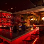 Dining Bar REDD - 