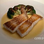 コート ドール - 