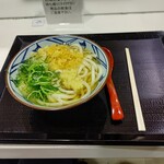 丸亀製麺 - 【2023.3.13(月)】かけうどん(並盛)390円