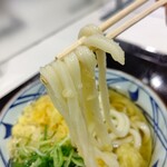 丸亀製麺 - 【2023.3.13(月)】かけうどん(並盛)390円の麺