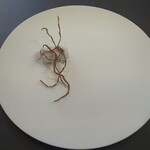 プレゼンテ スギ - 〜Sugiの苺大福〜