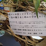 プレゼンテ スギ - 物語の始まり始まり