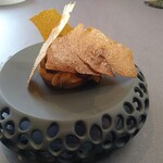 プレゼンテ スギ - 〜時間.温度.水分〜　マッシュルームの状態変化を楽しみます