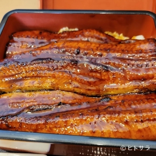 Special Japanese eel