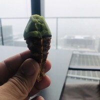 アルヴァ(アマン東京) - 