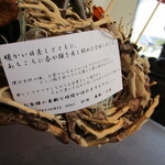 プレゼンテ スギ - 