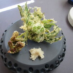 プレゼンテ スギ - 海と大地（ニワトコ新芽フリット、イカと蕗のタルタル、勝浦産浜大根、勝浦産満月塩）