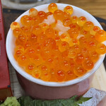 サカトケ乃カミ - 