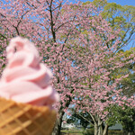 グリーンテラス水元 - 桜にフォーカスｗ