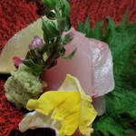 大阪 京橋 鮨 黒潮海閤 - 