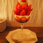 256nicom - 苺の木　ダークショコラ