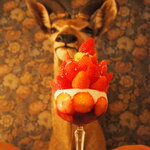 256nicom - 苺の木