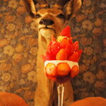 256nicom - 苺の木