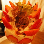 256nicom - 苺の木内面　ダークショコラ