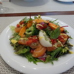 ビストロ ダイア - 自家製サーモンのマリネ　たっぷりサラダ　フレッシュトマトとバジルのソース
