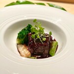 シブ ニシナカス - 