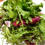 セットのサラダ