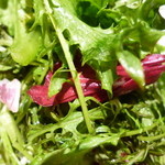 Taverna GUSTAVINO - ビネガーの風味も◎