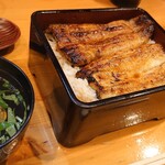 うなぎのまとい - うな重 並