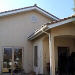 ペンギン - 外観