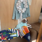 喫茶ランドリー - ももたものんびり