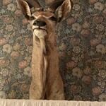 256nicom - 2階　内観