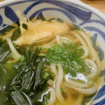 本格手打ちうどん まごころ - 