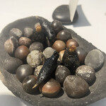 ラ・ヴァガボンド - 