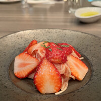 ダルマット 六本木ヒルズ店 - 